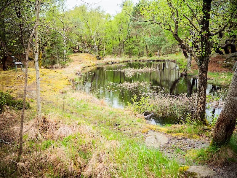 Näckrosdammen - Image 1