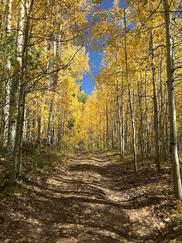 Horse Ranch Park - Image 2