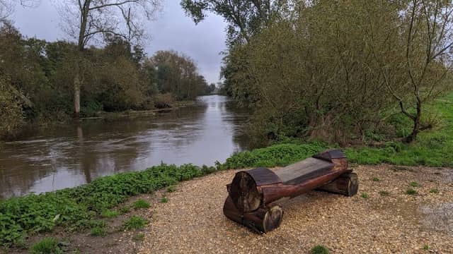 Canford Park SANG (Suitable Alternative Natural Greenspace) - Image 1