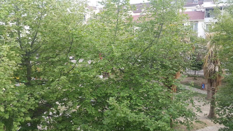 Park - Image 2
