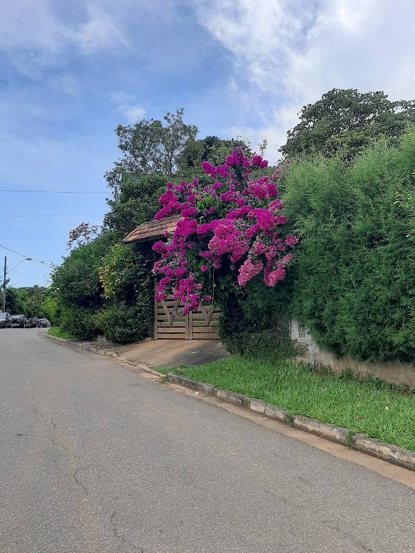 Parque Público - Image 1