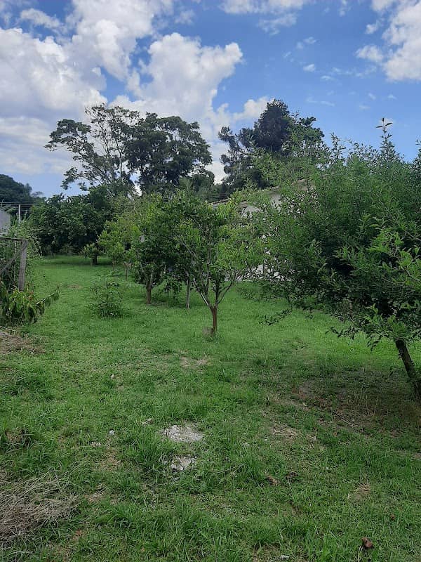 Parque Público - Image 2