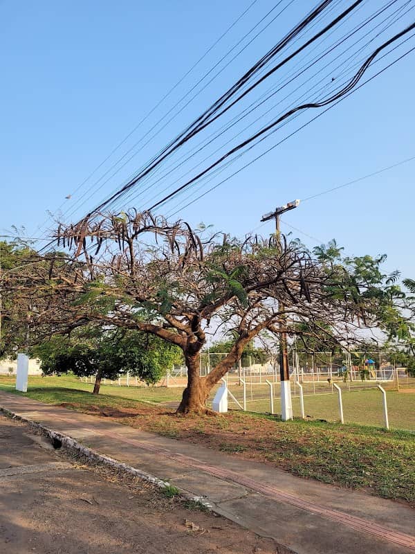 Praça da Mata - Image 2
