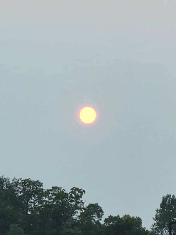 Smore Nature Preserve - Image 1