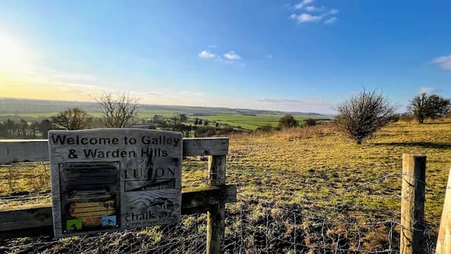 Galley & Warden Hills Nature Reserve - Image 1