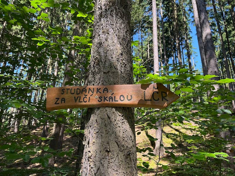 Studánka za Vlčí skálou - Image 2