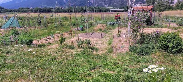 Gemeinschaftsgarten Vellenfeld - Image 2