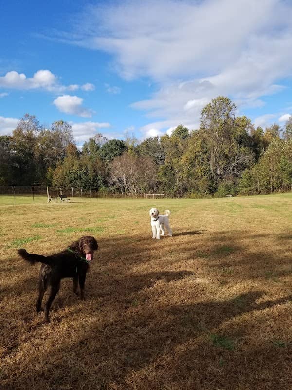 Grays Road Dog Park - Image 2