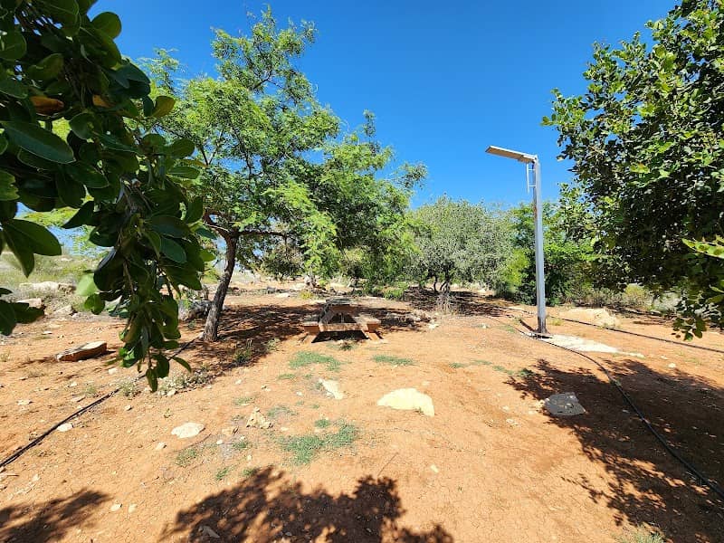 חורשת נוף השחר - Image 1