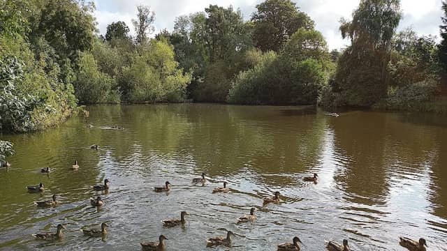 Midway Fishponds - Image 3