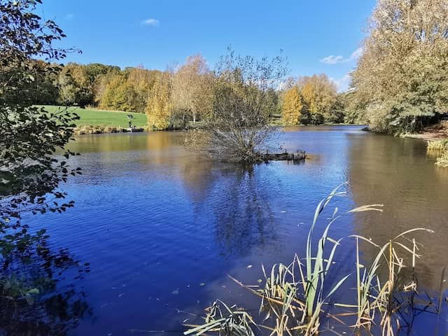 High Woods Country Park - Image 1