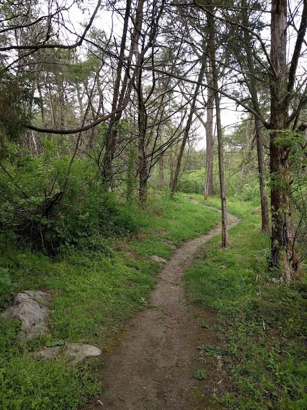 Hillandale Park - Image 1