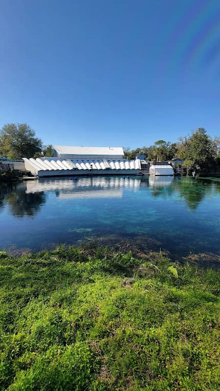 Friends of Weeki Wachee - Image 1