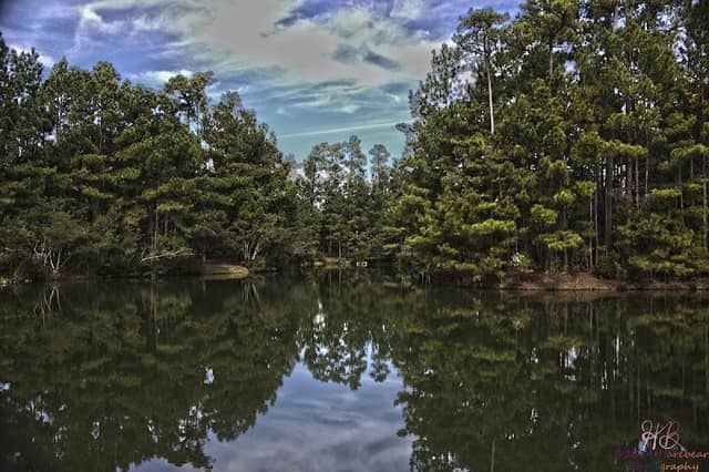North Charleston Wannamaker County Park - Image 1
