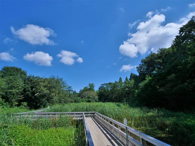 Kitamoto Nature Observation Park - Image 1