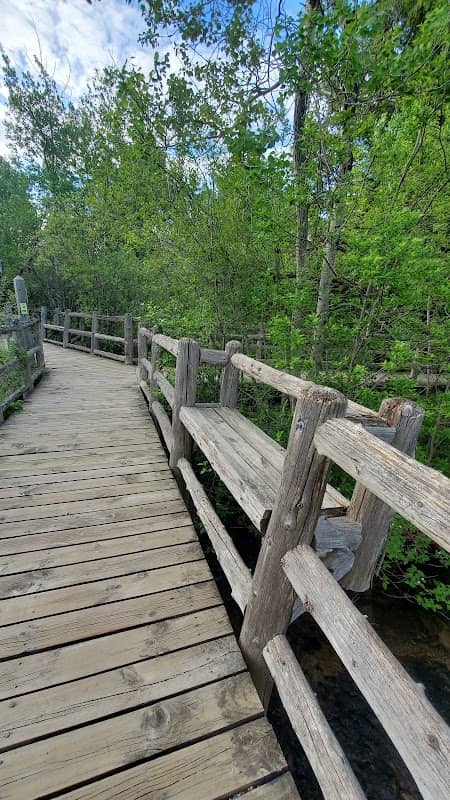Kids Creek Park - Image 2