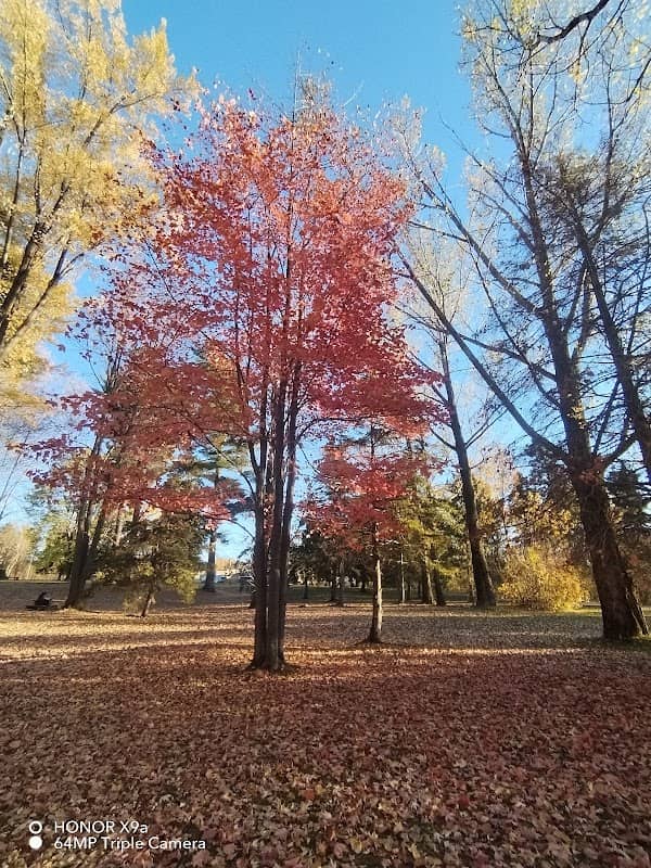 Parc Rosaire-Gauthier - Image 1