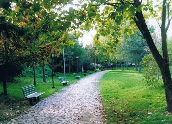 Jardim Afonso Serrão Lopes - Image 1