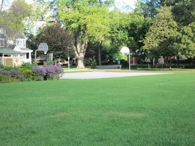 Marjorie Davis Park - Image 2