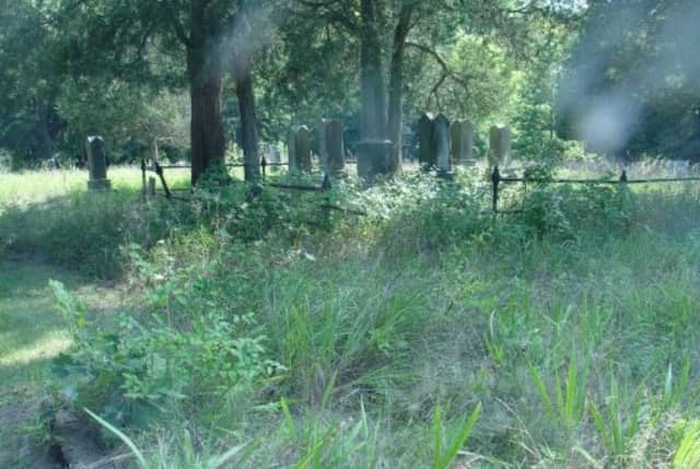 Short Pioneer Cemetery Prairie Nature Preserve - Image 1