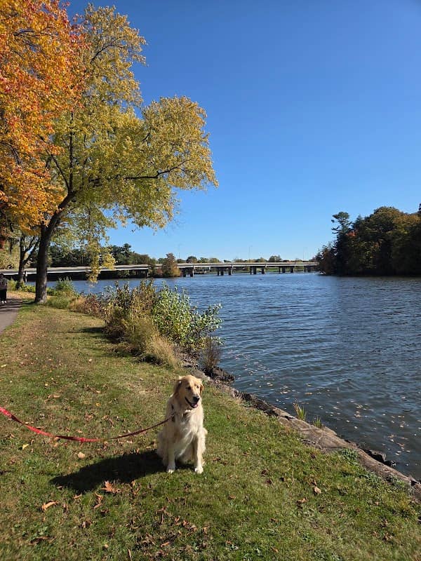 Lyon Park - Image 2