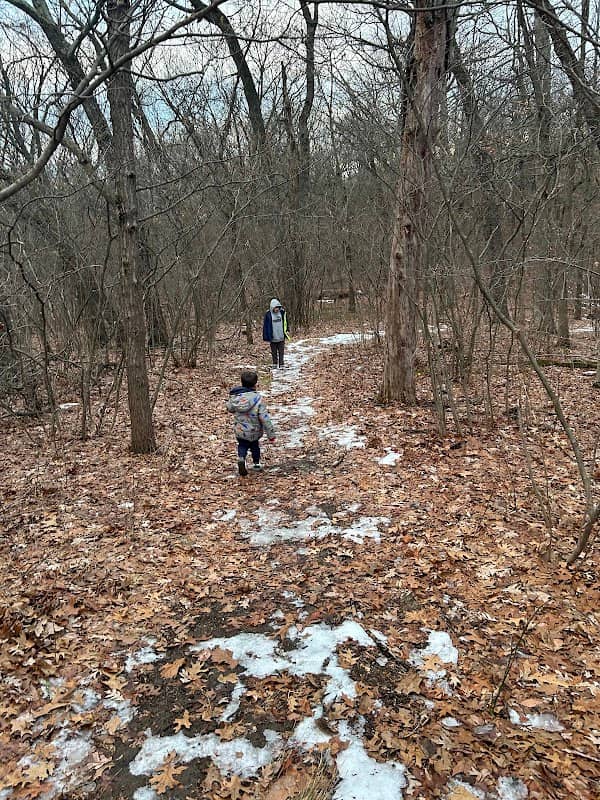 Pines Park - Image 1