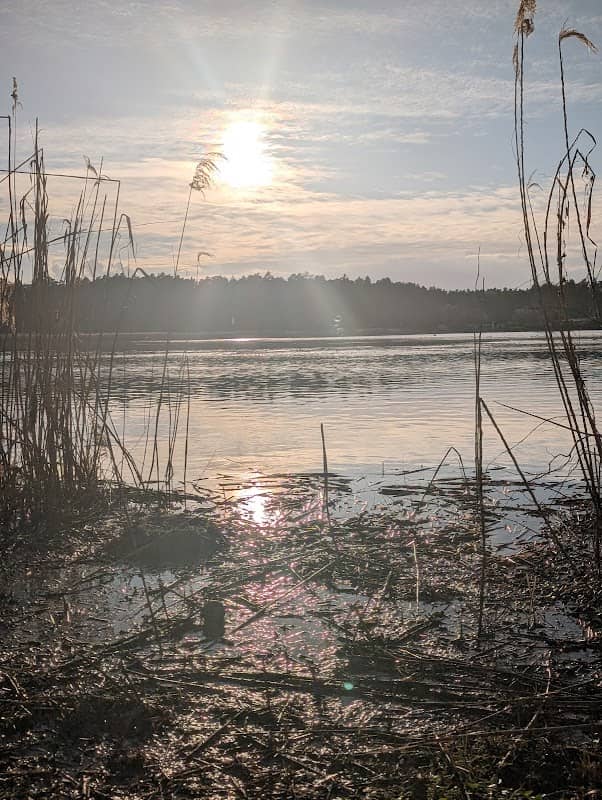 Vogelfreistätte Kauerlacher Weiher - Image 1