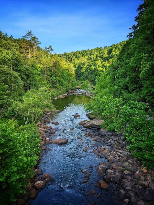 Obed Wild And Scenic River - Image 2