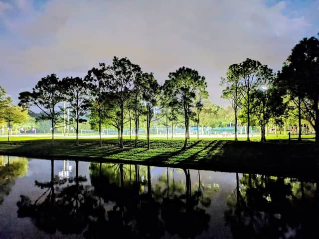 North Jupiter Flatwoods Natural Area - Image 2