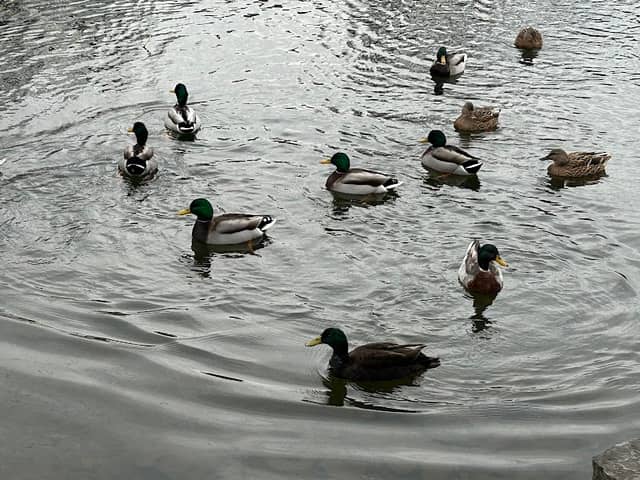 Lehigh Canal Park - Image 1