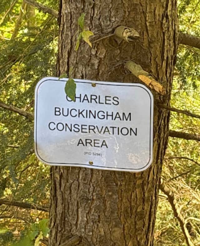 Charles Buckingham Conservation Area - Image 1