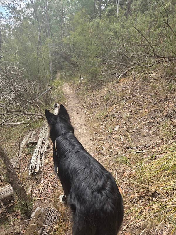 St Andrews G148 Bushland Reserve - Image 1