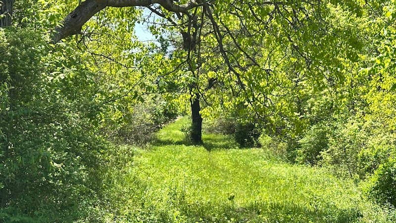 Souhrada Forest Wildlife Area - Image 1