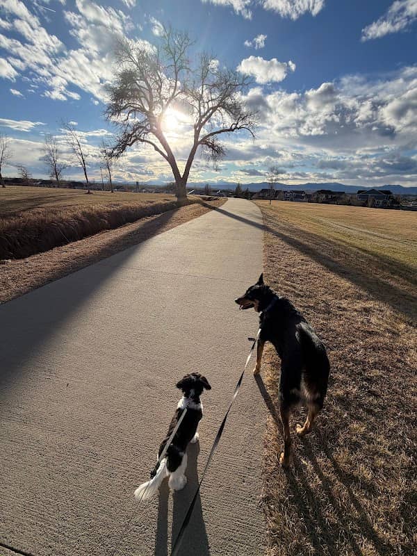 Fallbrook Farms Park - Image 1