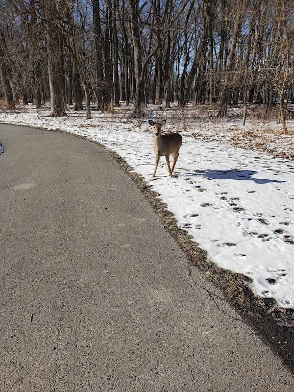 Forest Preserve District of Cook County - Image 2