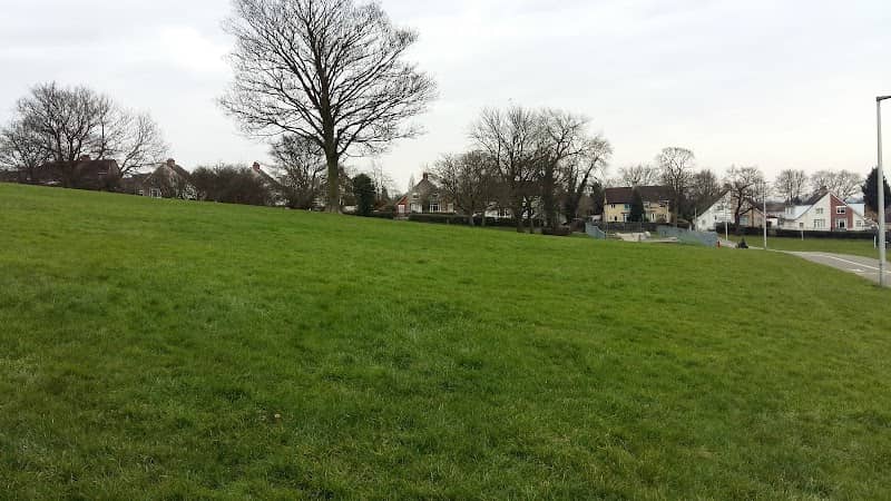 Manor Park - Image 1