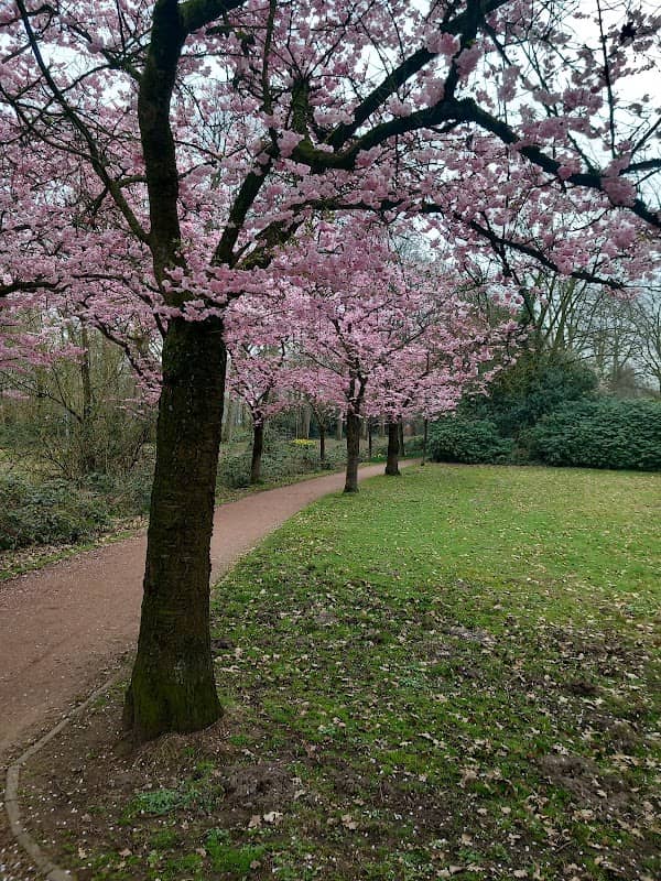 Stadt Park - Image 1