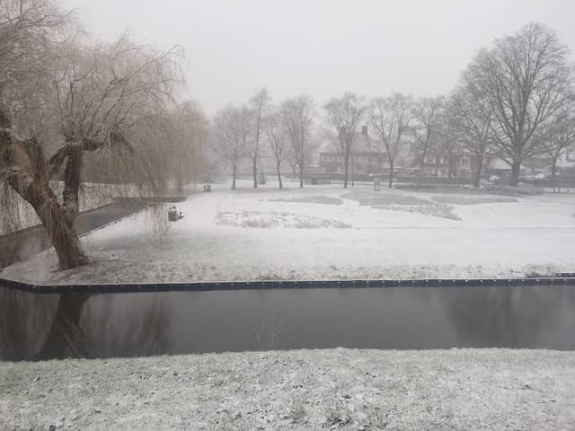 Burgemeester Coenenpark - Image 2