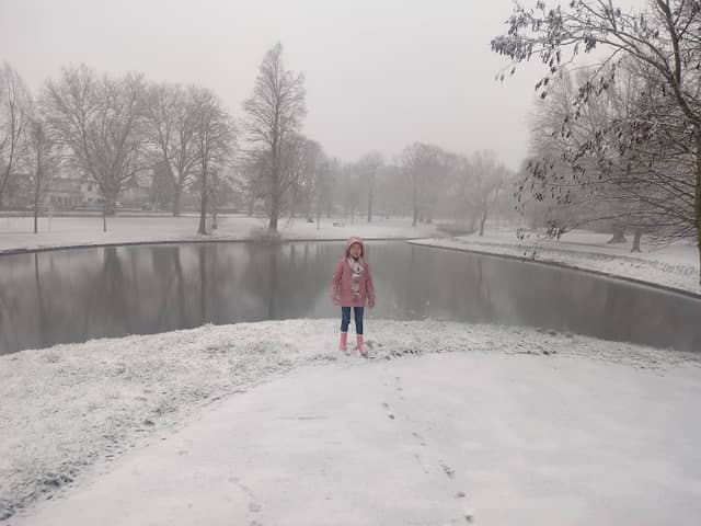 Burgemeester Coenenpark - Image 1