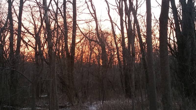 Howard Virgin Timber Park - Image 1