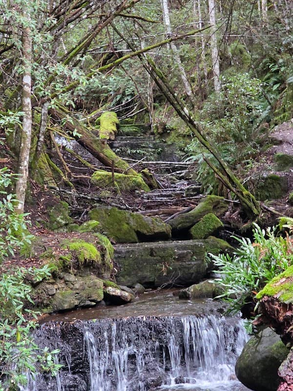 Strickland Falls - Image 2