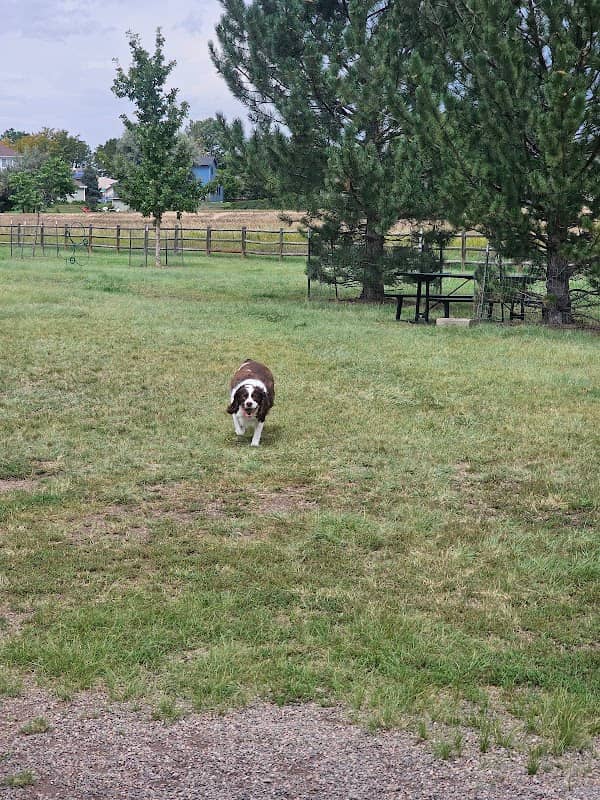 Poudre Pooch Park - Image 1