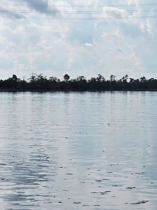 Perkins Ferry Park - Image 1