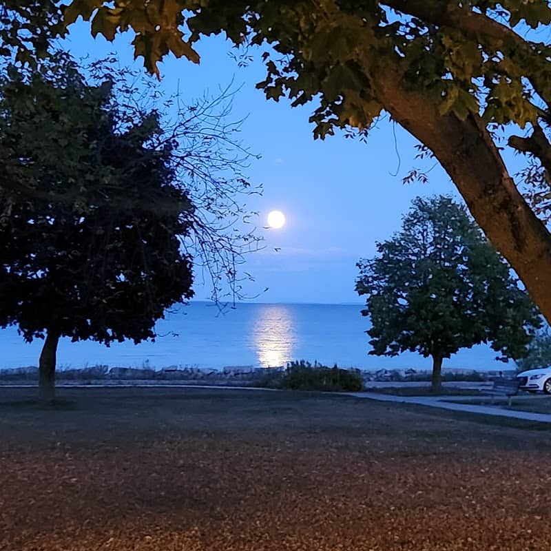 Great Lakes Memorial Marina Park - Image 3