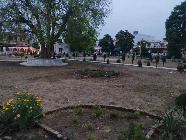 Model town kapurthala park - Image 1