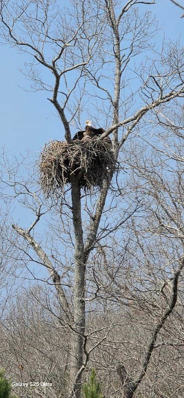 Kentucky Woodlands National Wildlife Refuge - Image 1