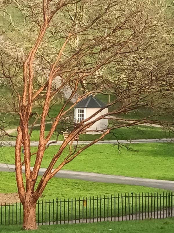 Saltram Park - Image 1