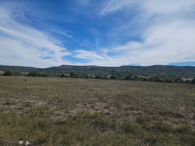 Fisher Park - Image 1