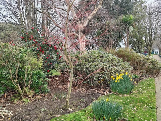Warrenpoint Park - Image 1