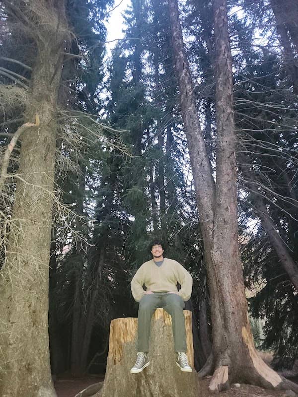 Jordan Pines Group Campground - Image 1
